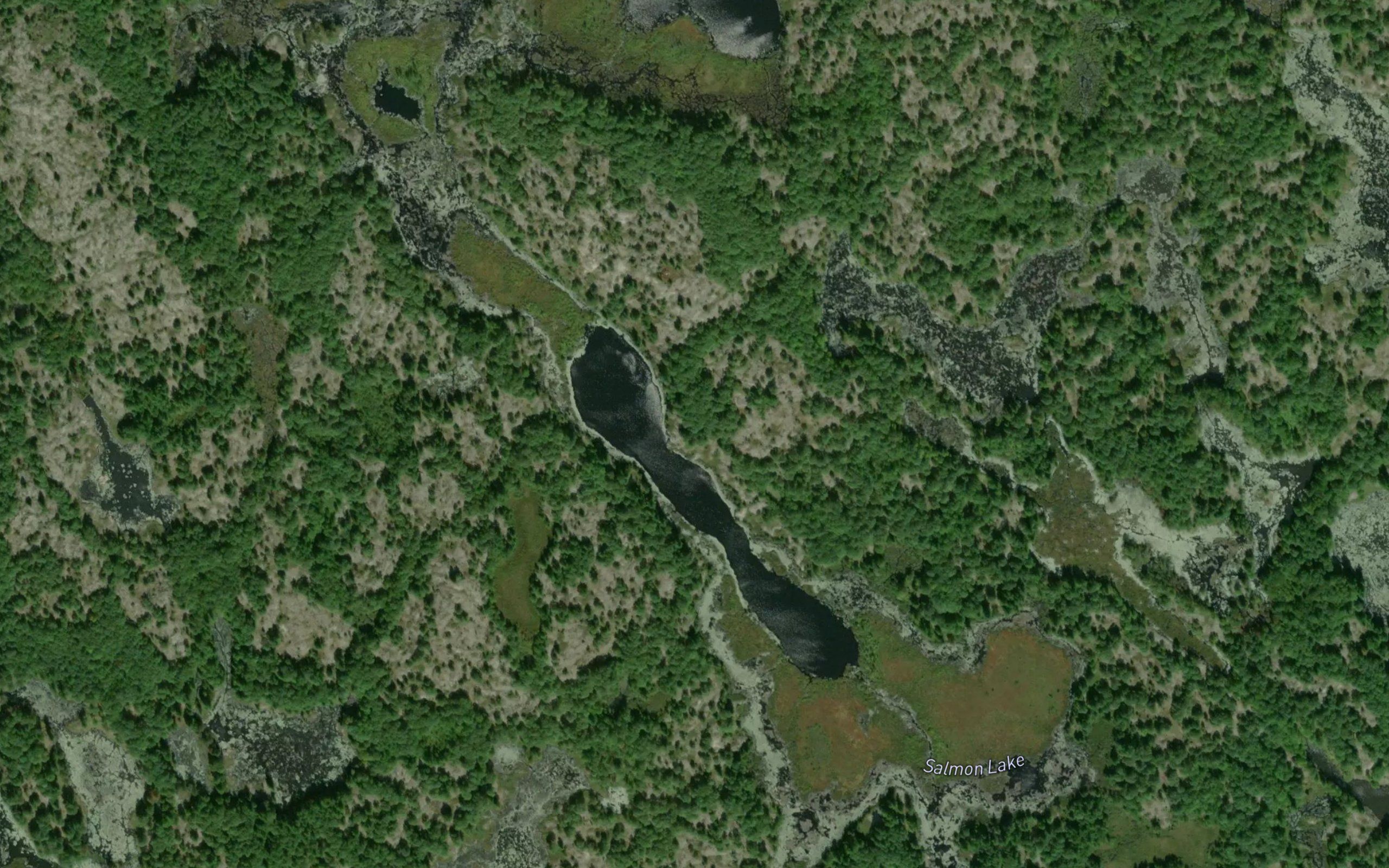 Salmon Lake