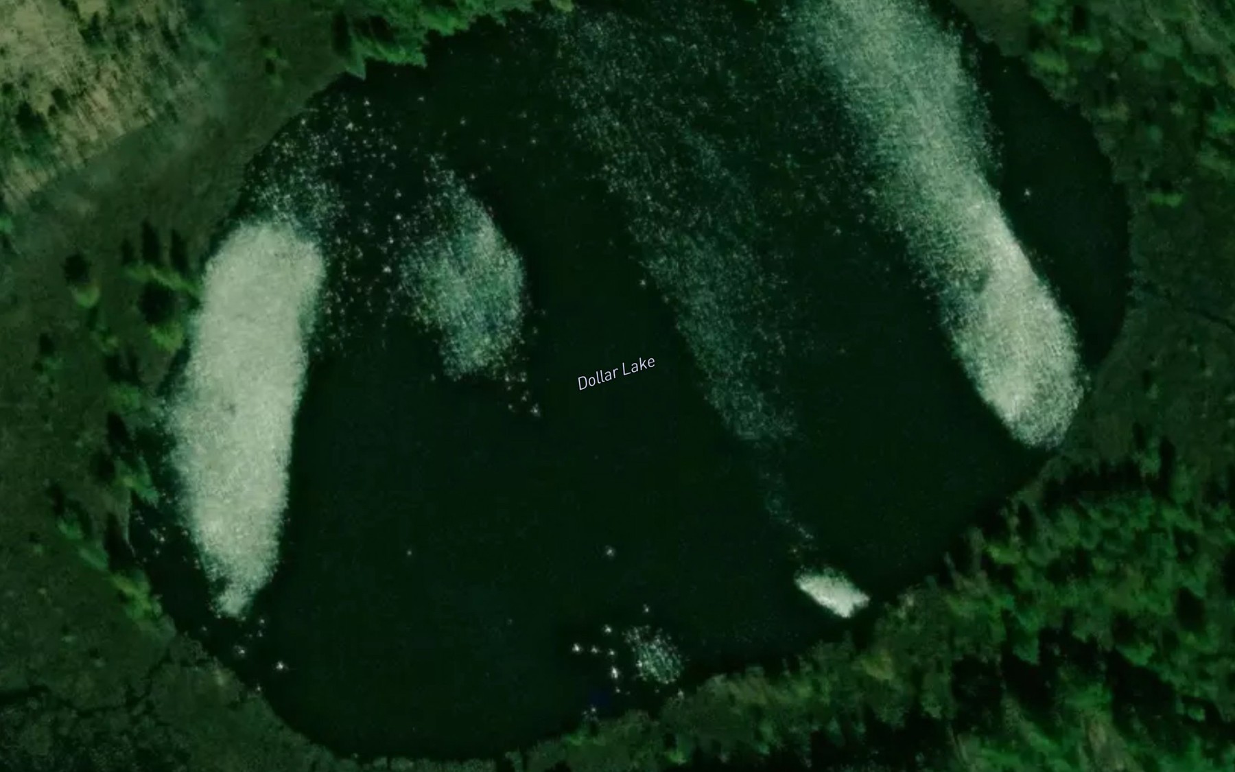 Satellite map of the Dollar Lake