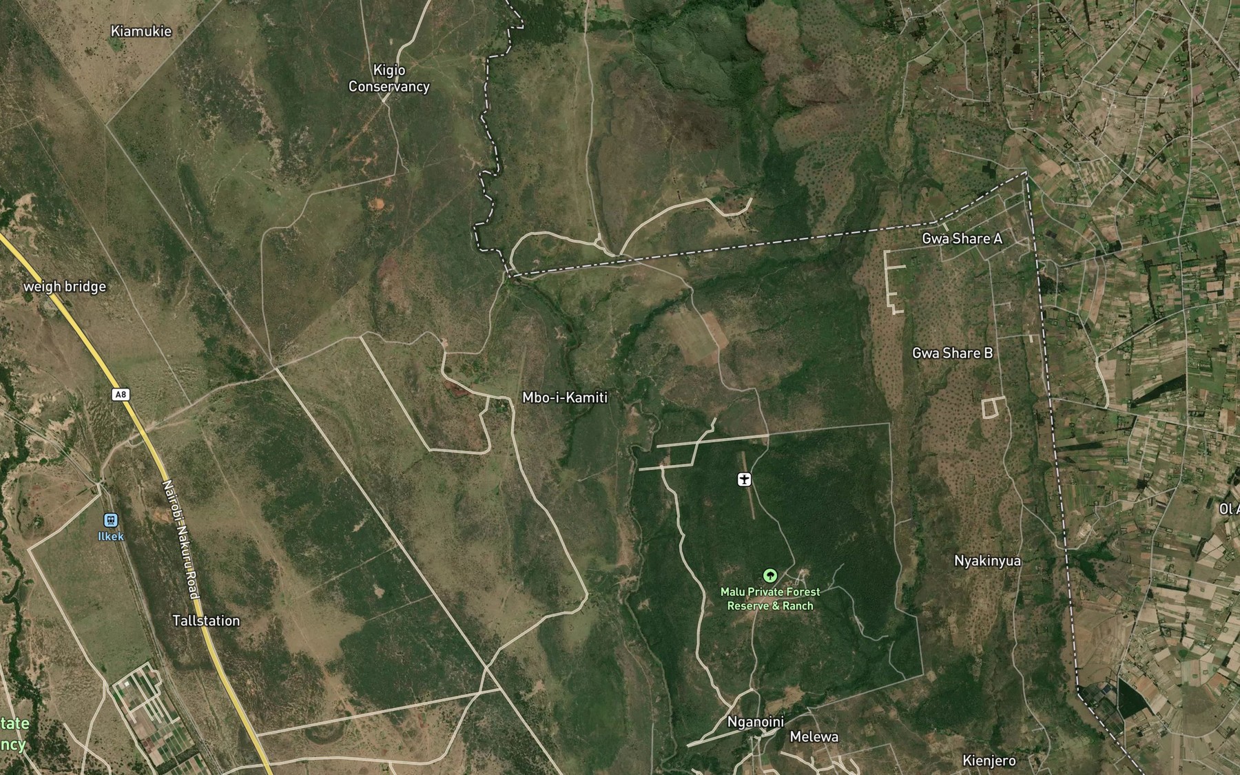 Satellite map of the Biazi