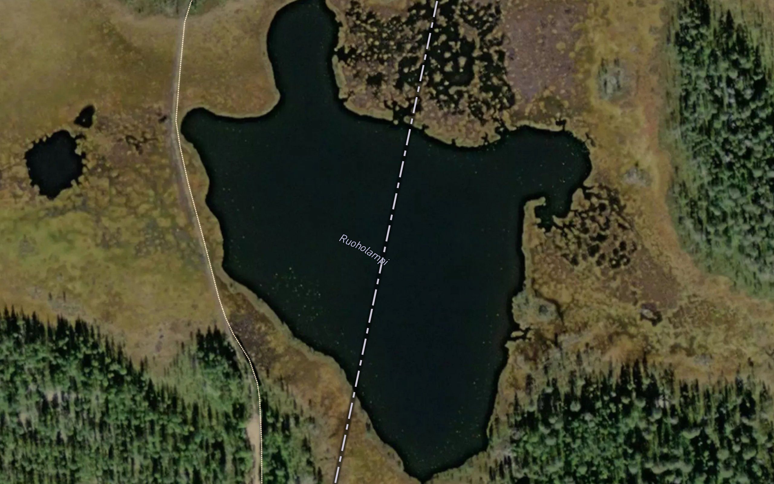 Ruoholampi