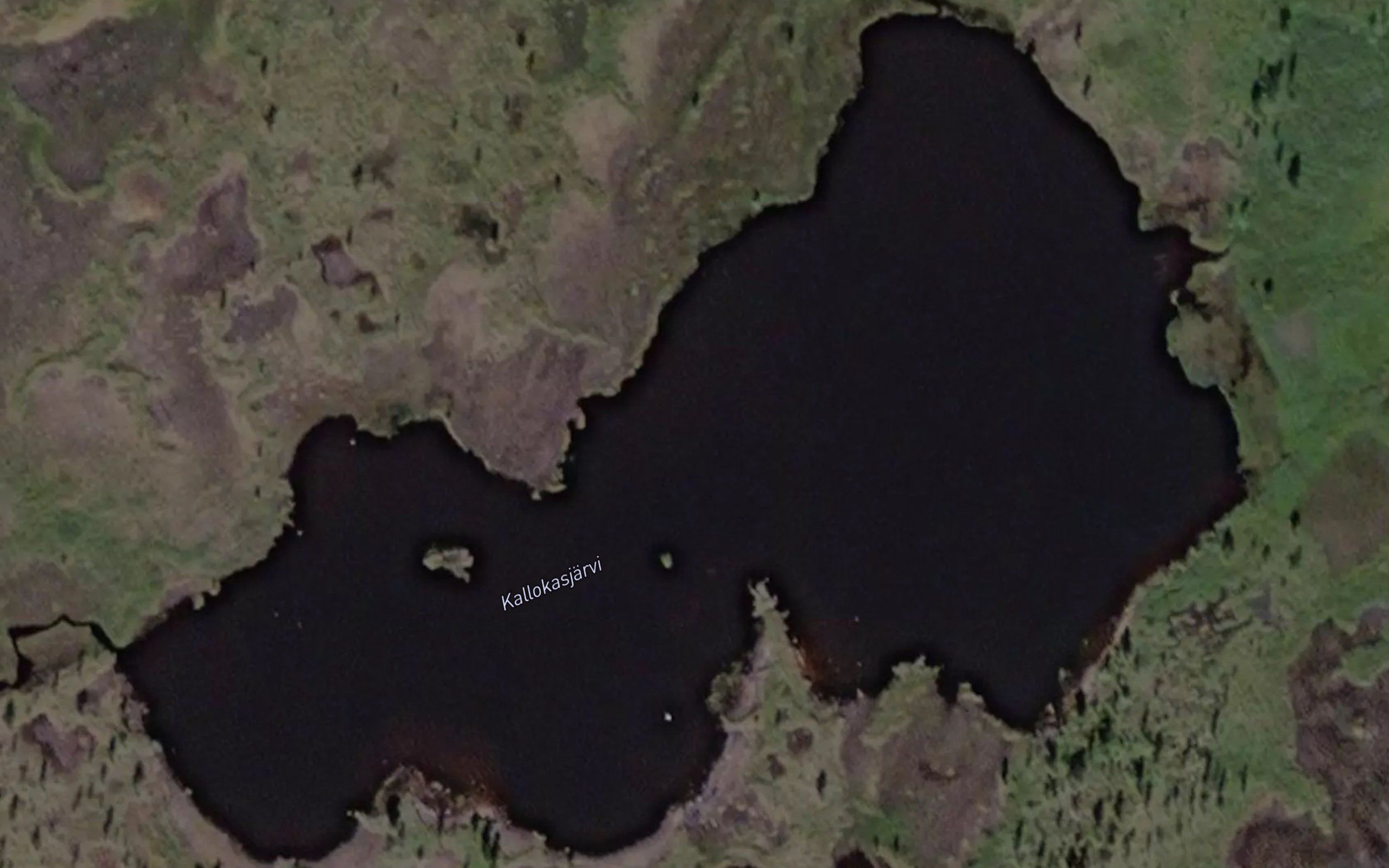 Kallokasjarvi