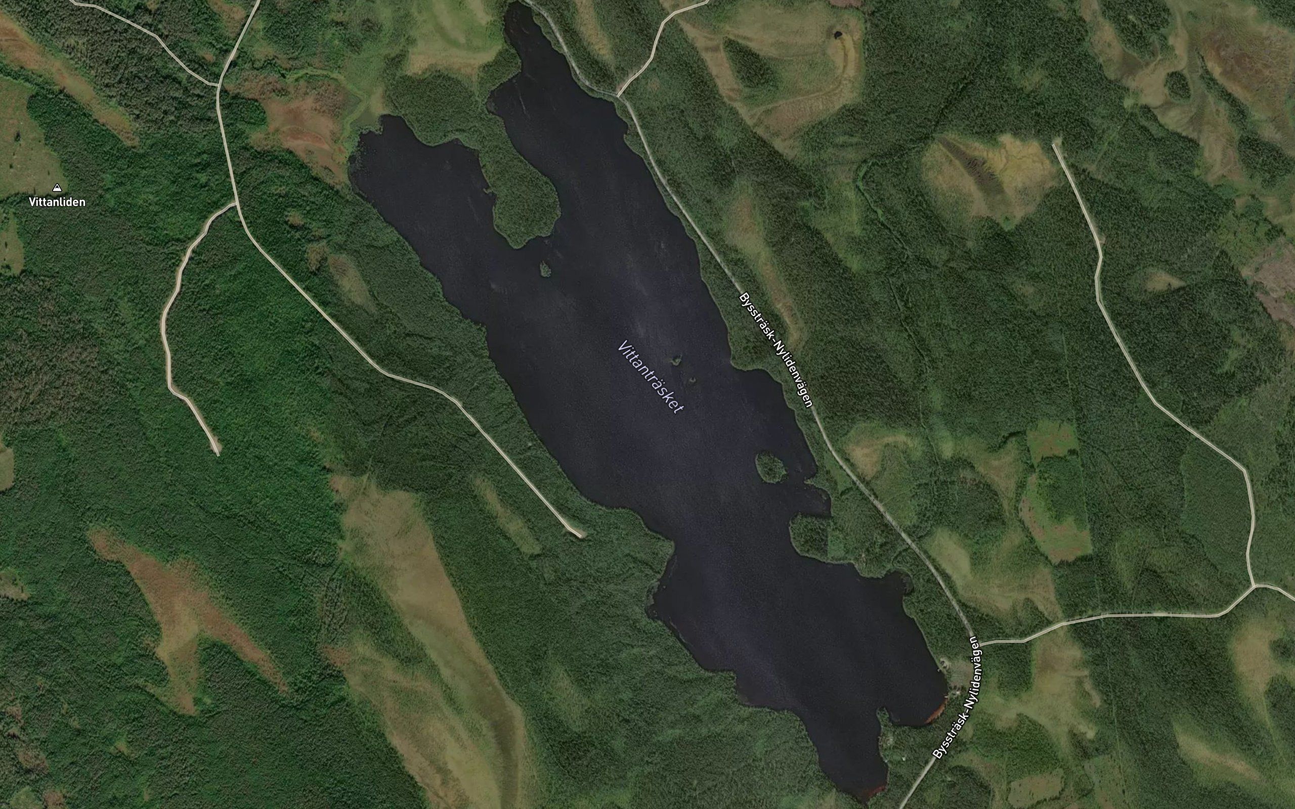 Vittantraesket