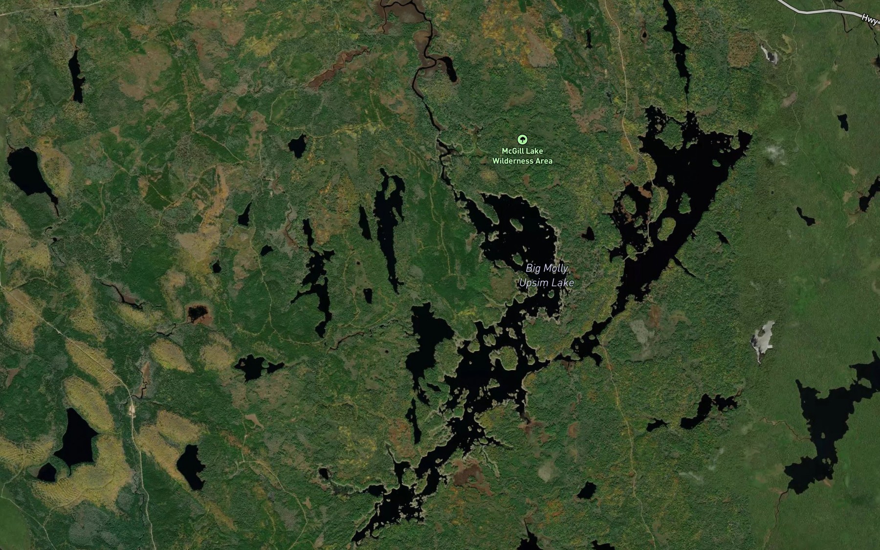 Satellite map of the Big Molly Upsim Lake