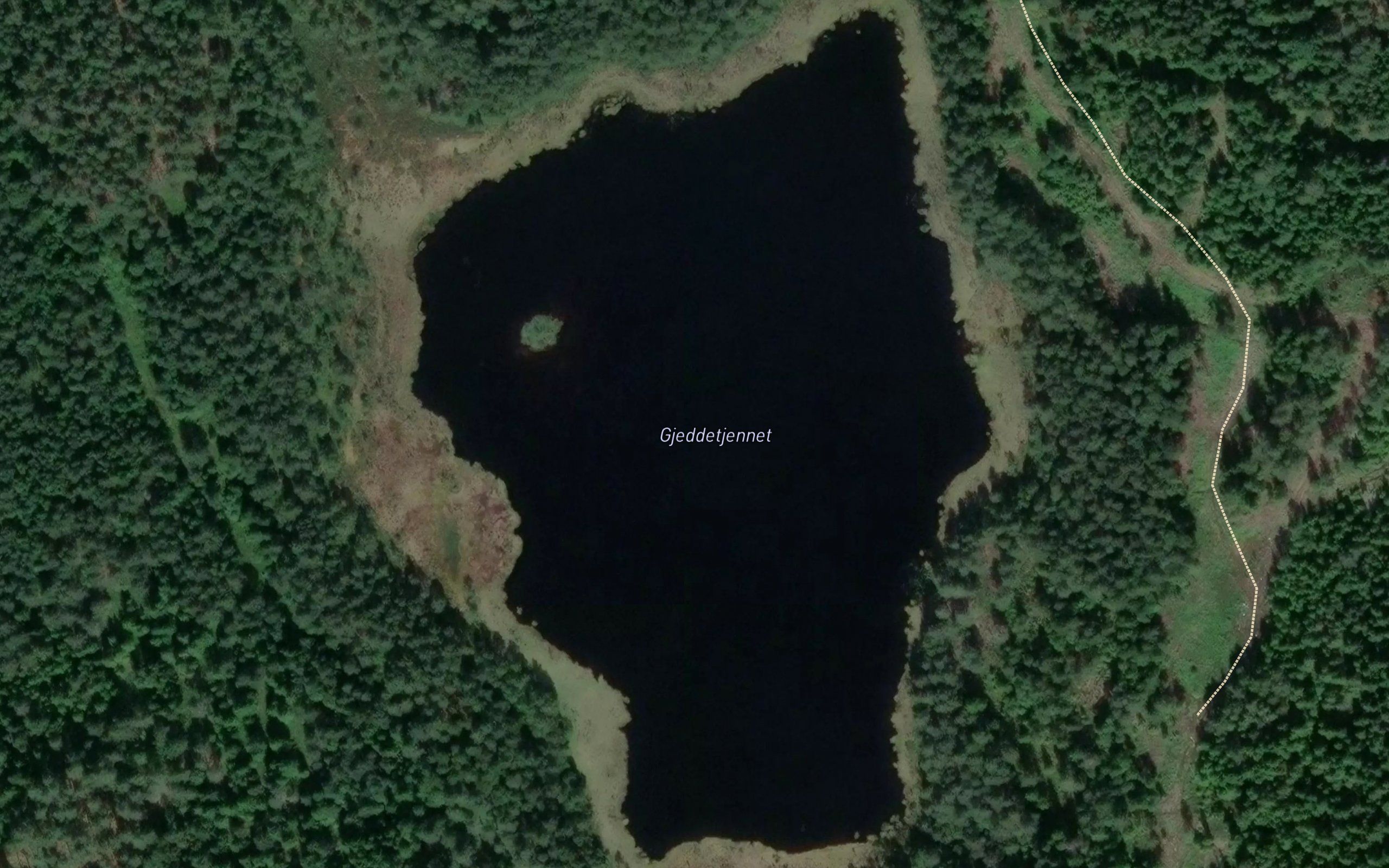 Gjeddetjernet