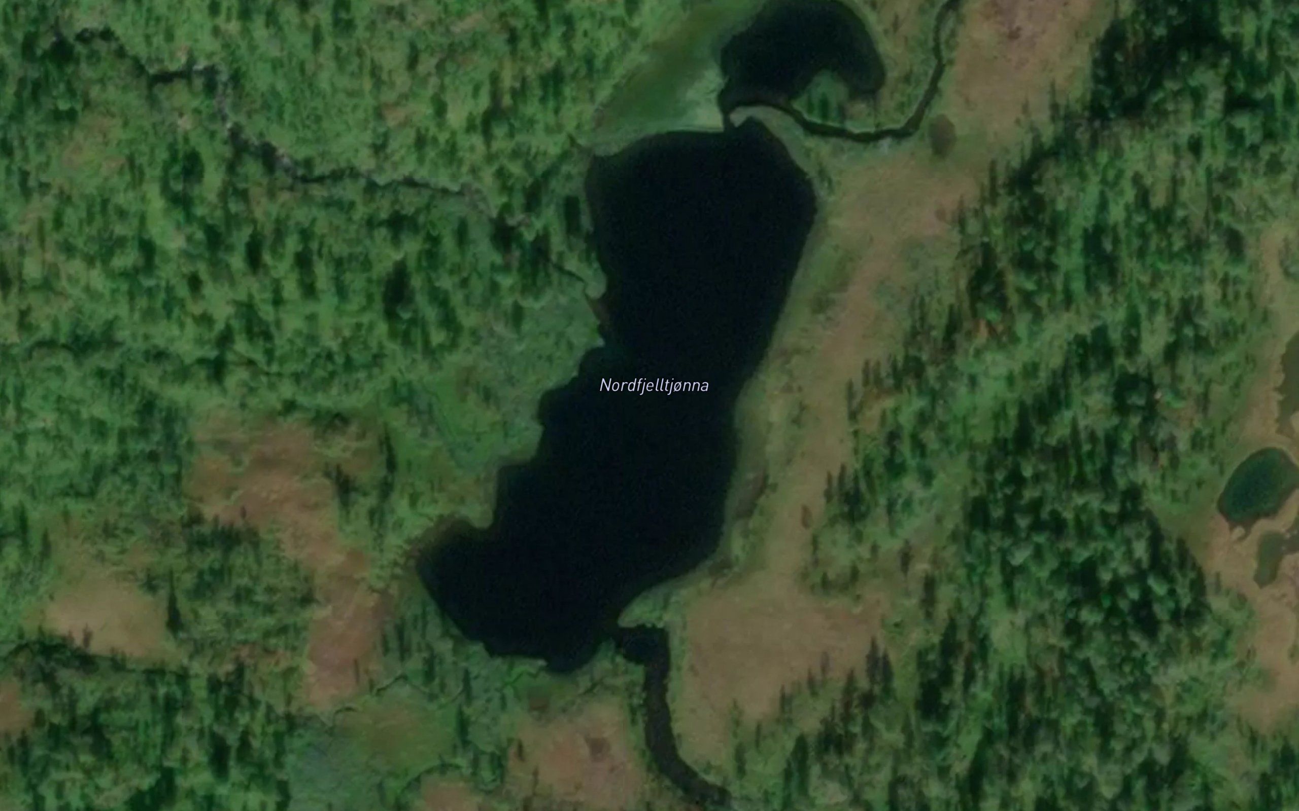 Nordfjelltjorna
