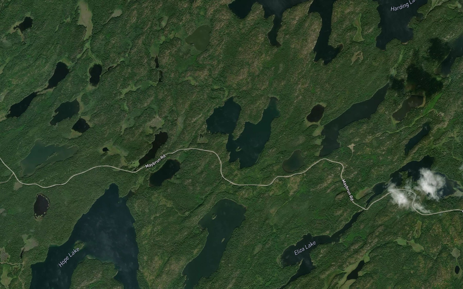 Satellite map of the Ponyshoe Lake