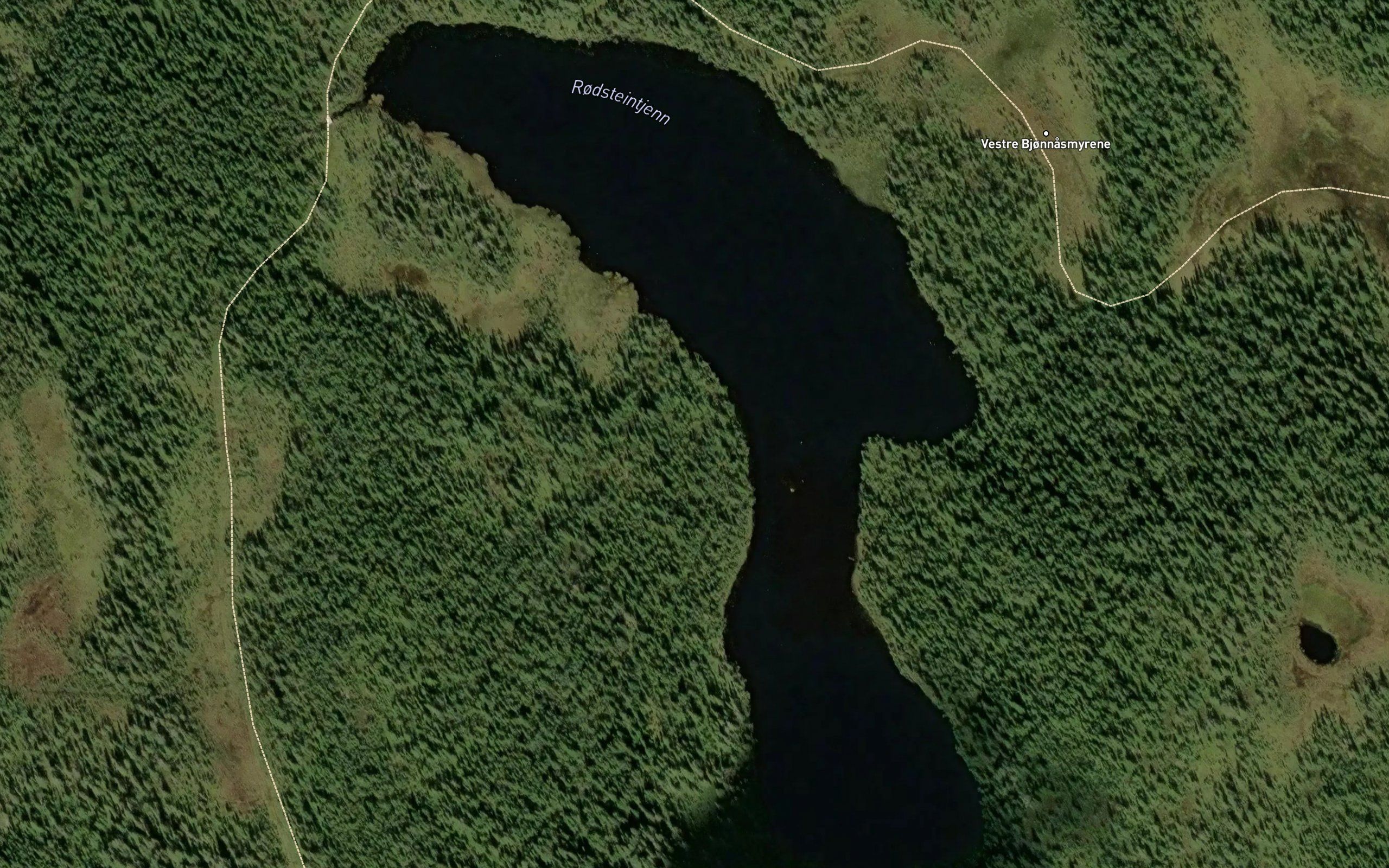 Rodsteintjern