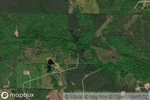 Holly Springs Branch