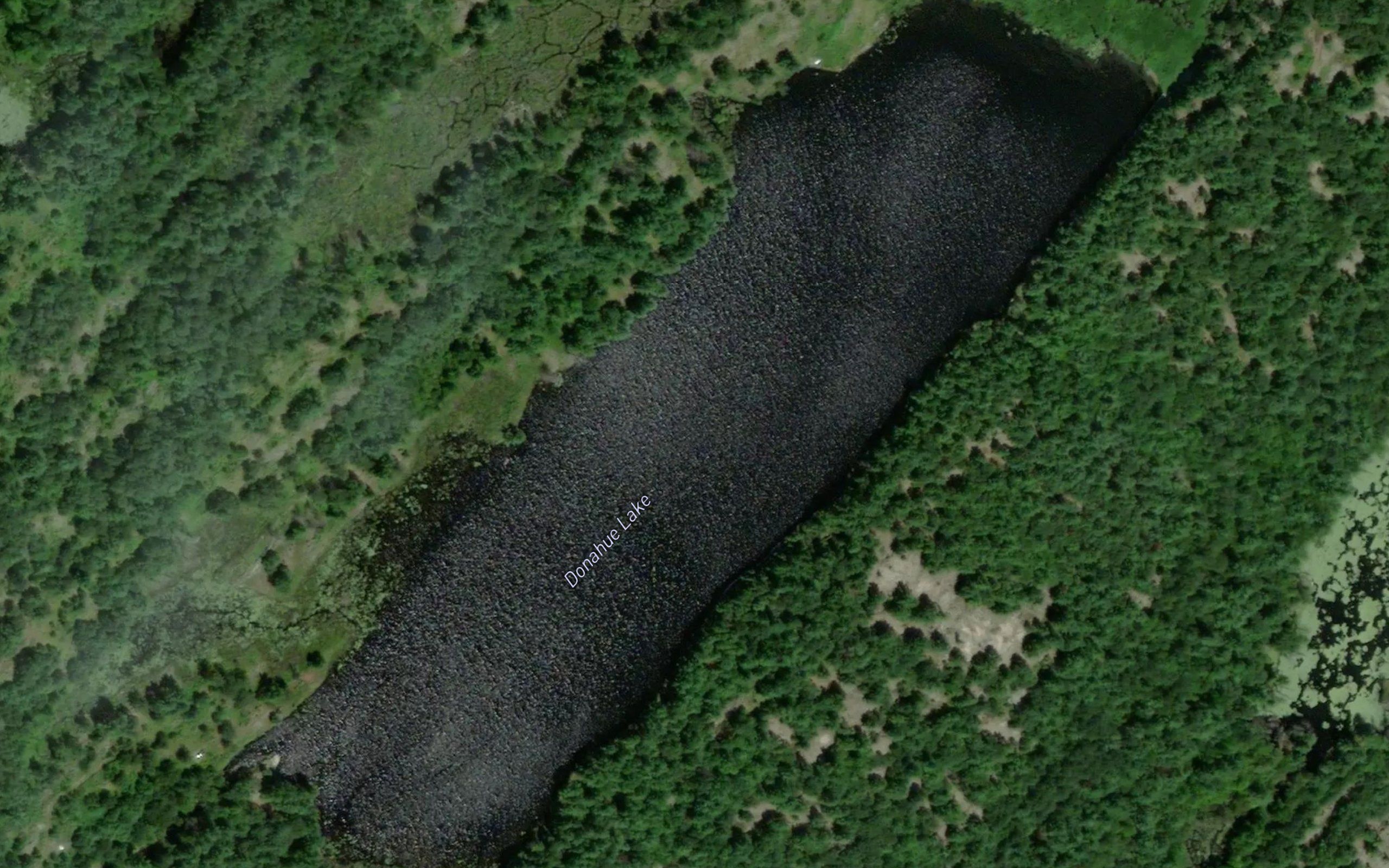 Donahue Lake