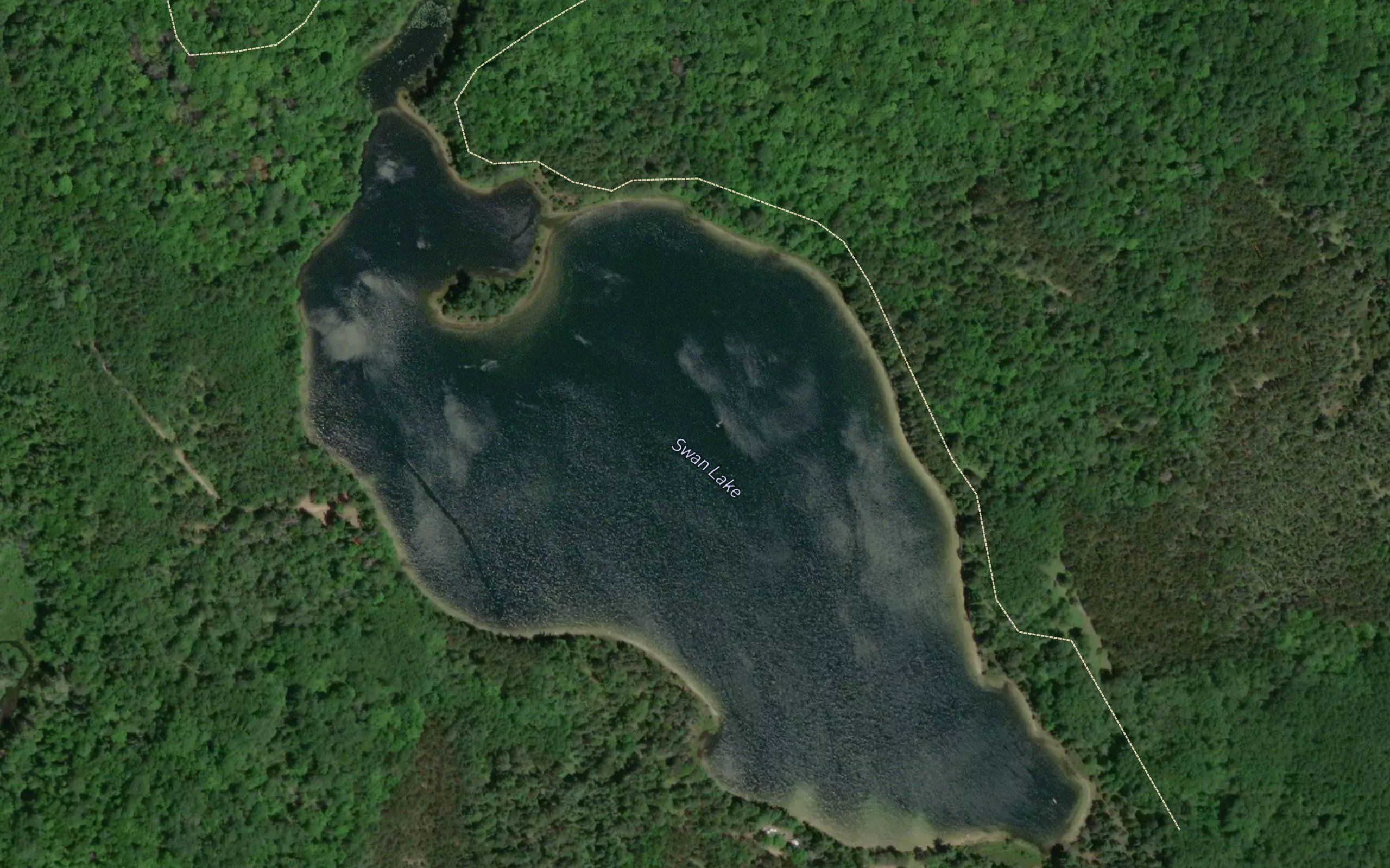 Swan Lake