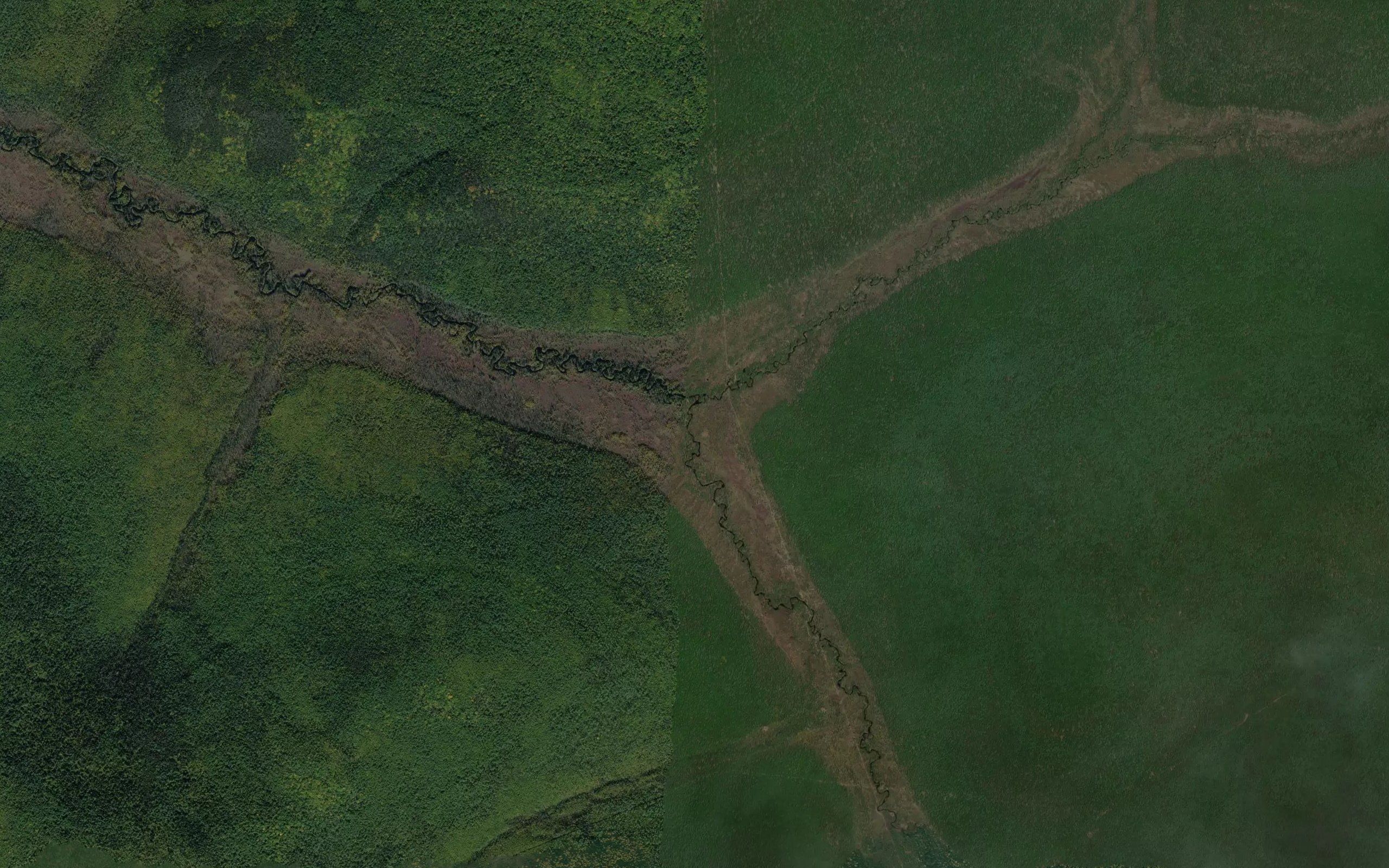 Talaya