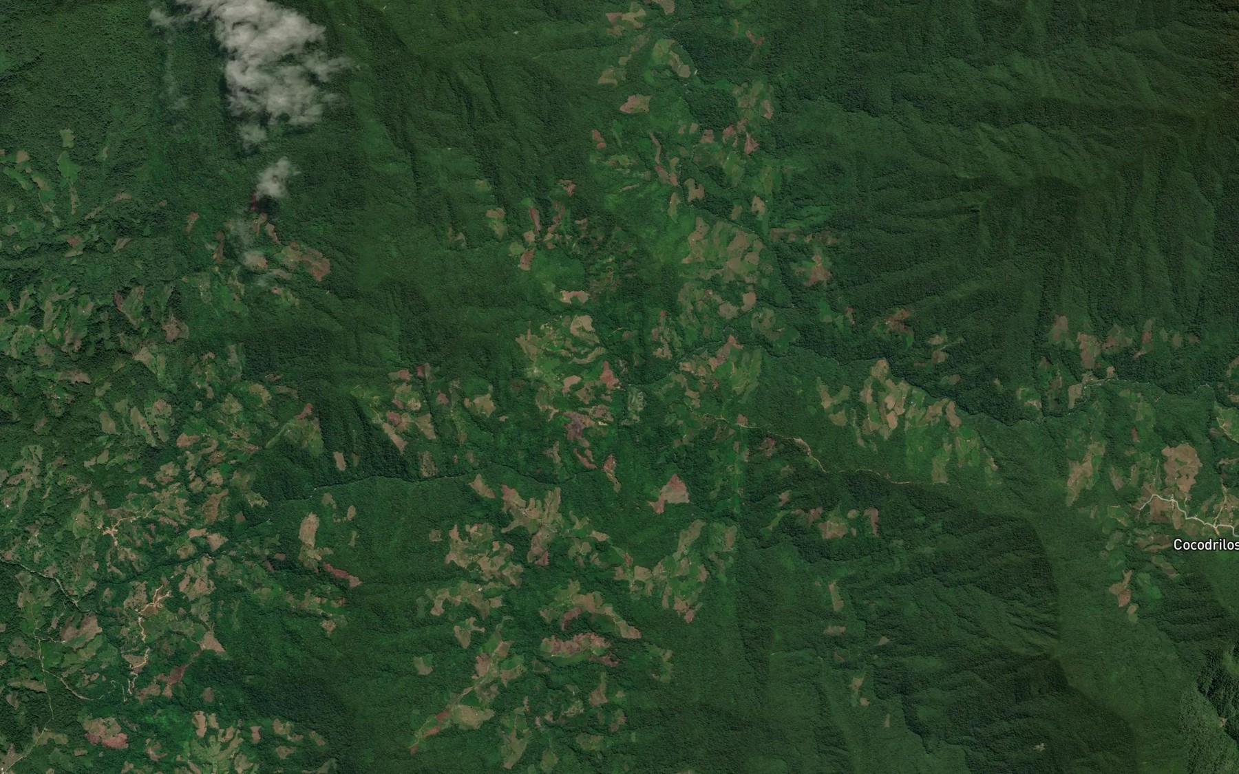Satellite map of the Quebrada La Parasa
