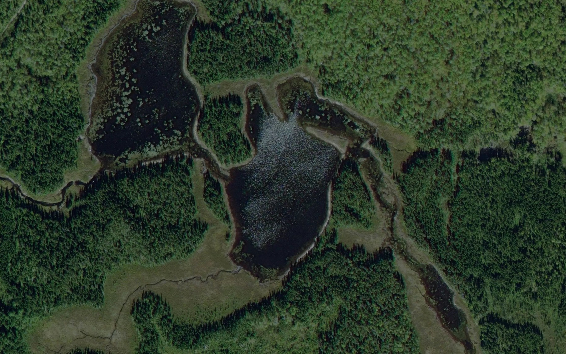 Satellite map of the Petit lac Francois
