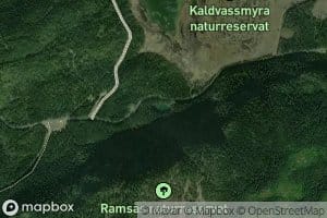 Grontjonna