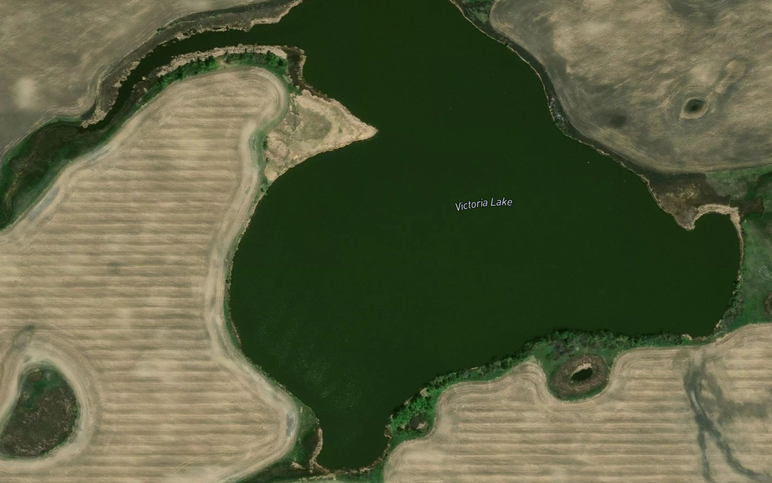 Victoria Lake