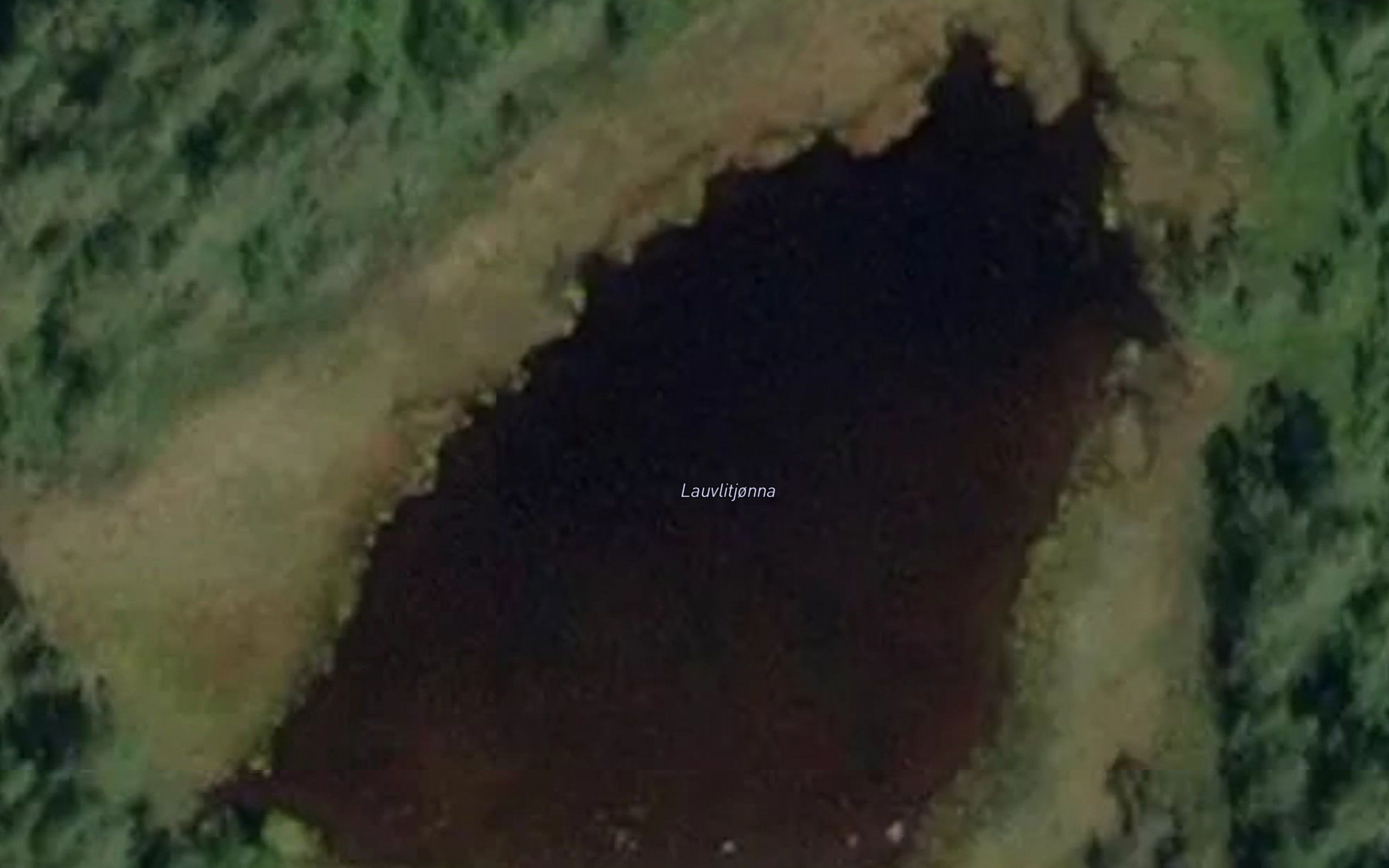 Lauvlitjorna