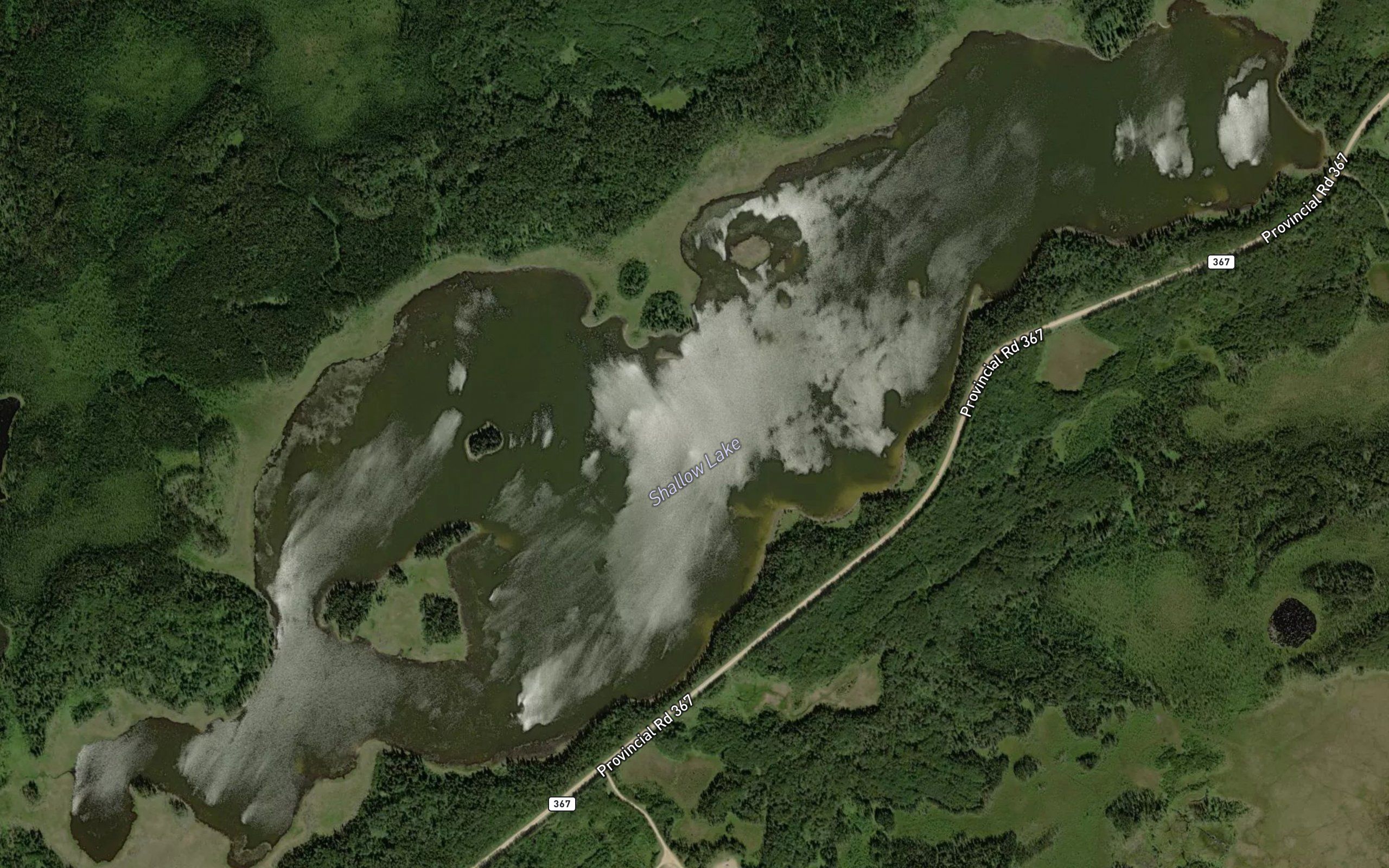 Shallow Lake