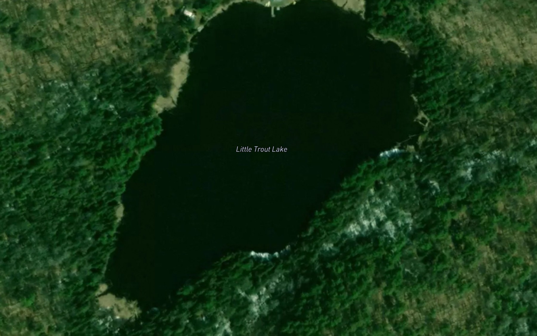 Satellite map of the Little Trout Lake