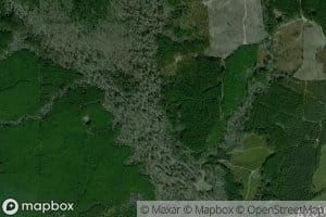 West Fork Little Comite Creek