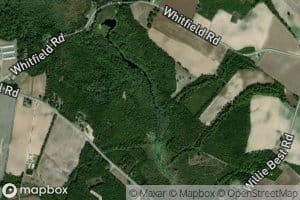 Polly Run Creek