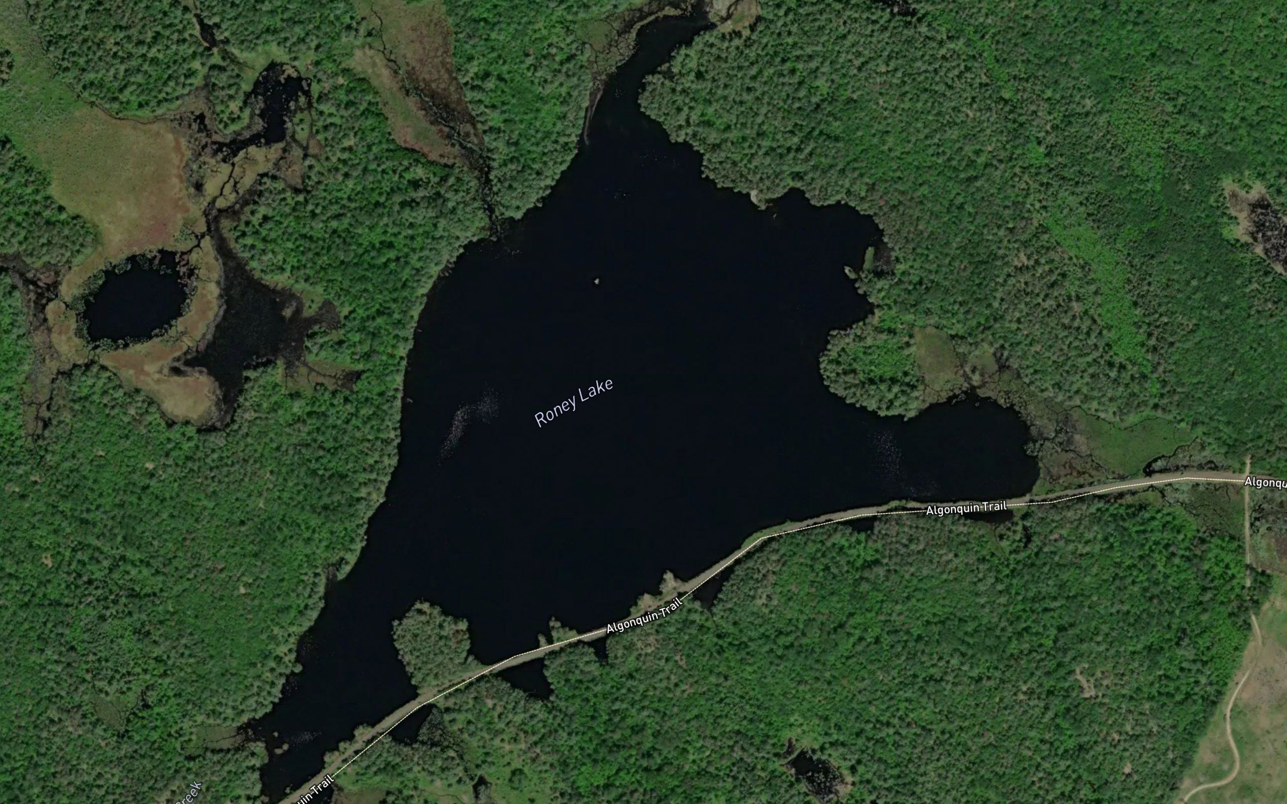 Roney Lake