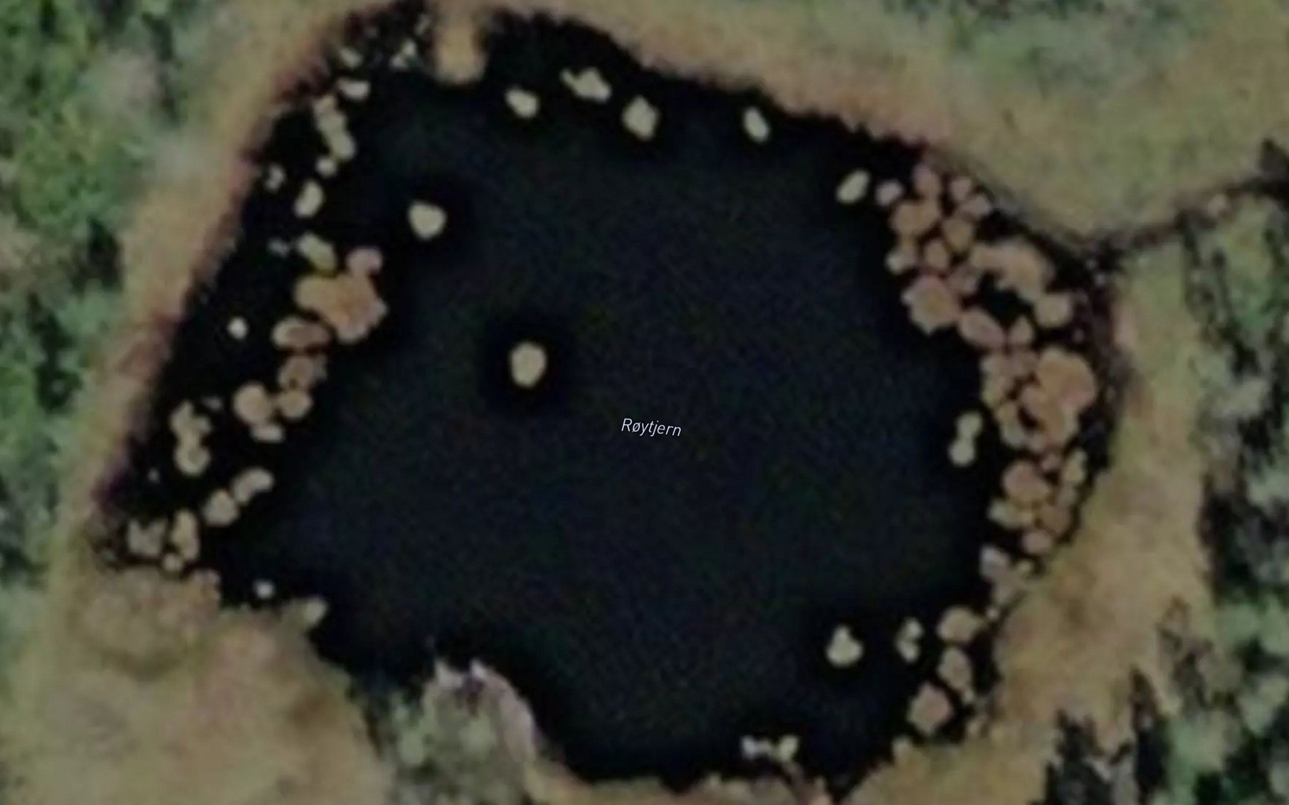 Roytjern