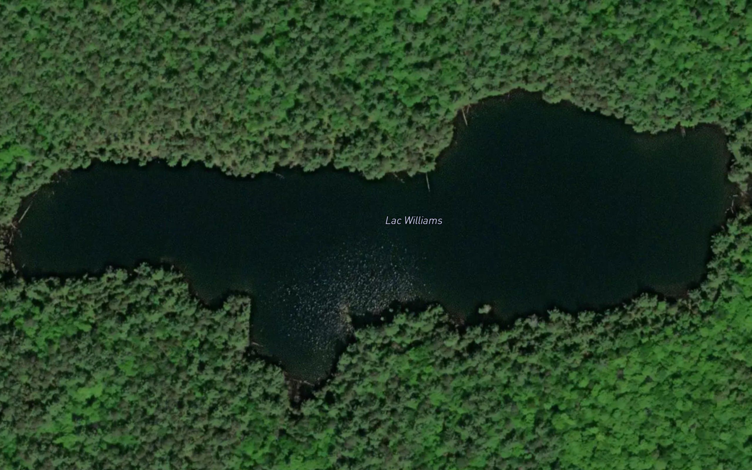 Lac Williams