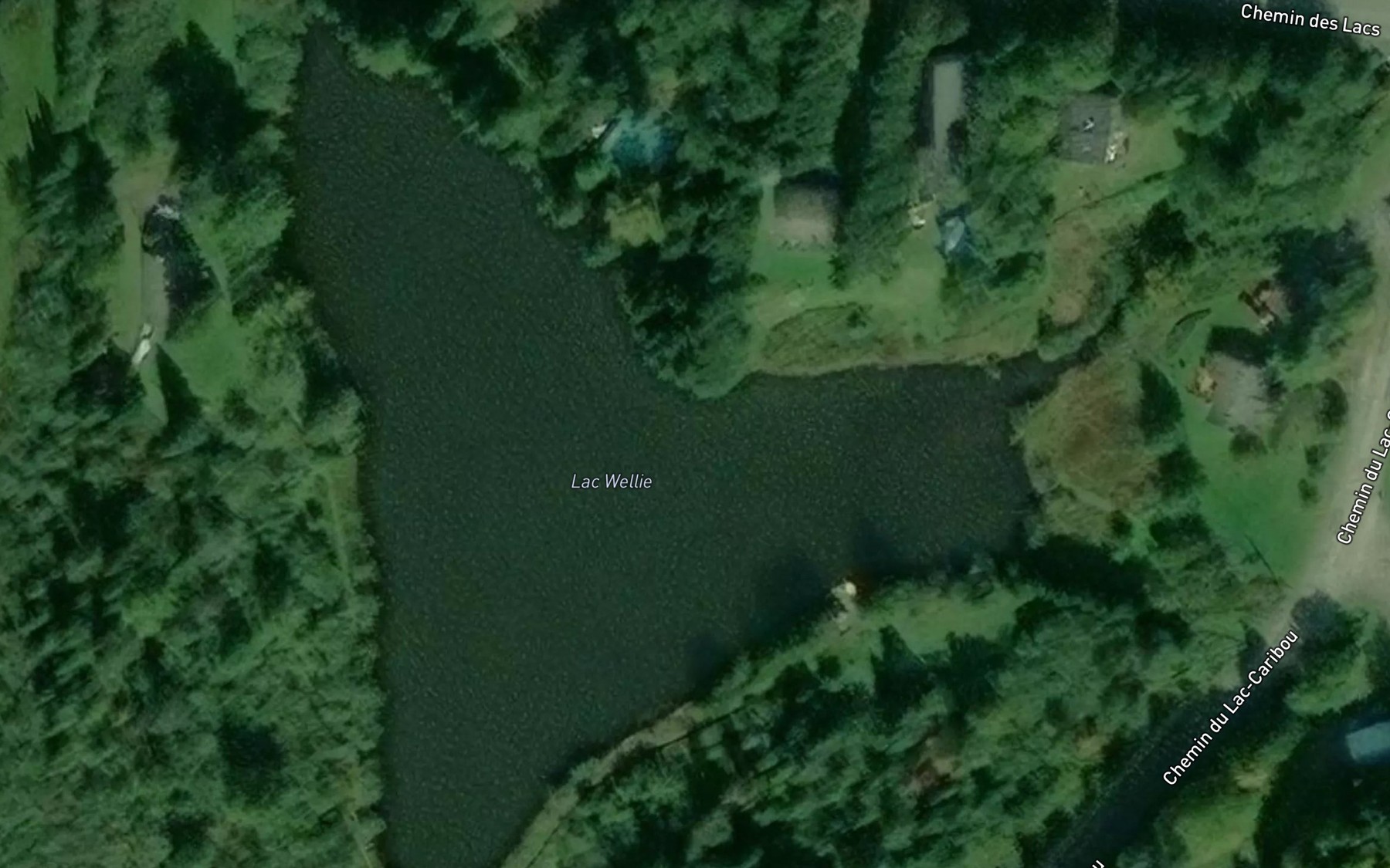 Satellite map of the Lac Wellie