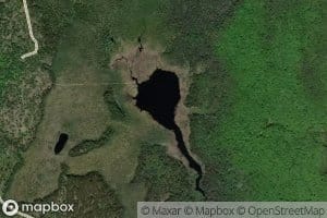 Bog Lake