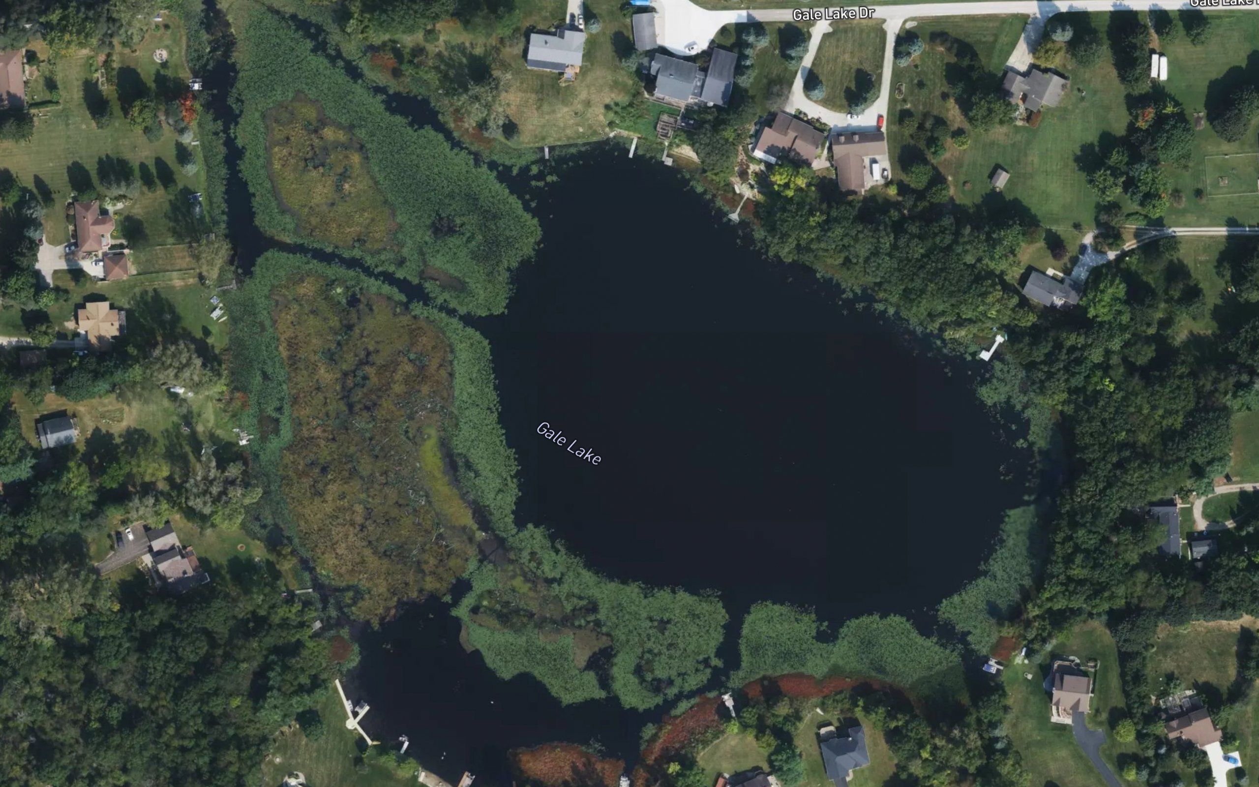 Gale Lake