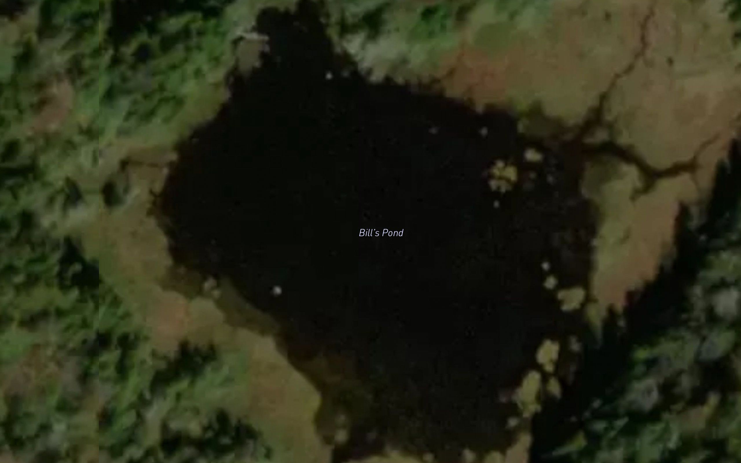 Bills Pond