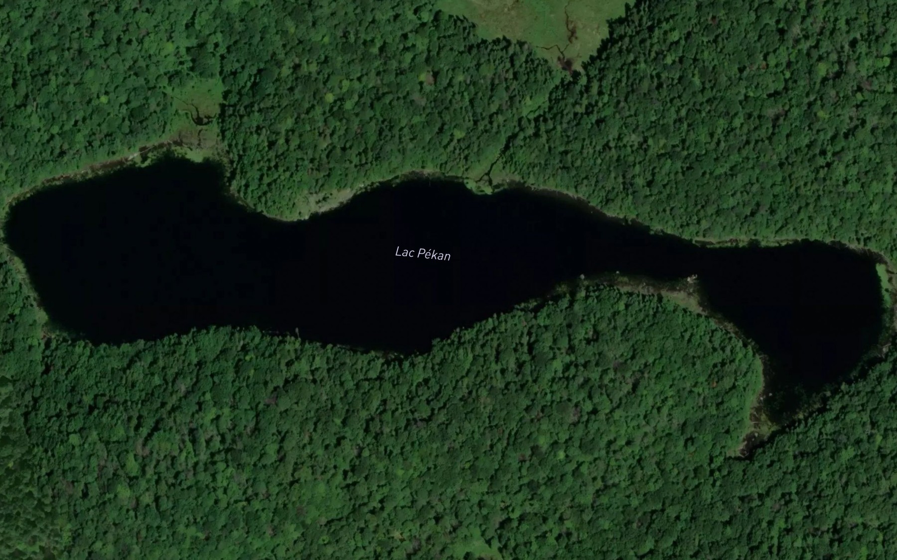 Satellite map of the Lac Pekan