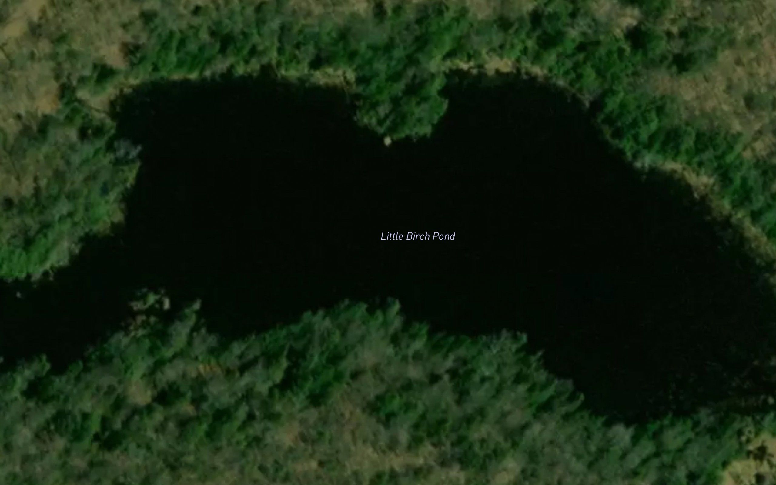 Little Birch Pond