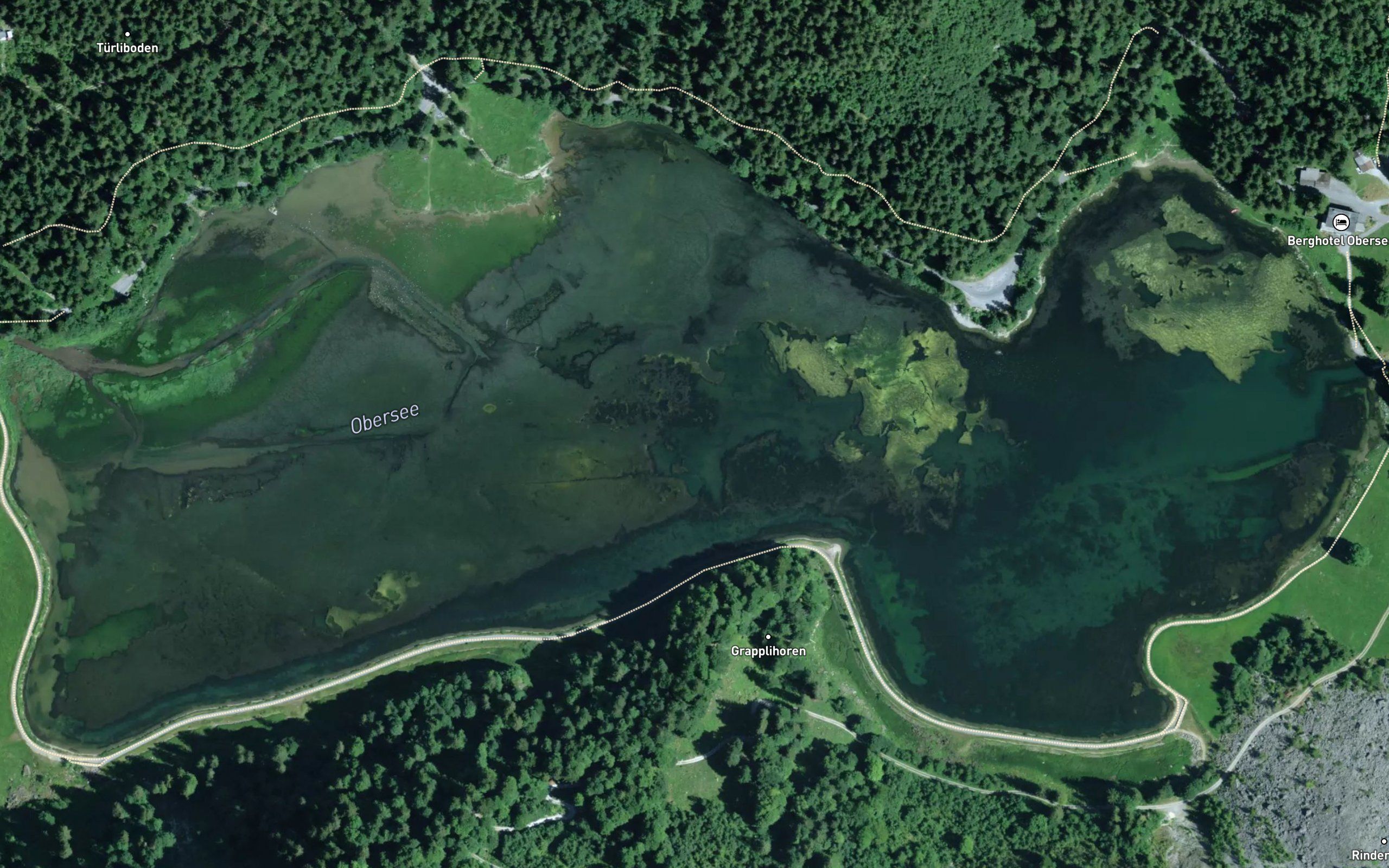 Obersee