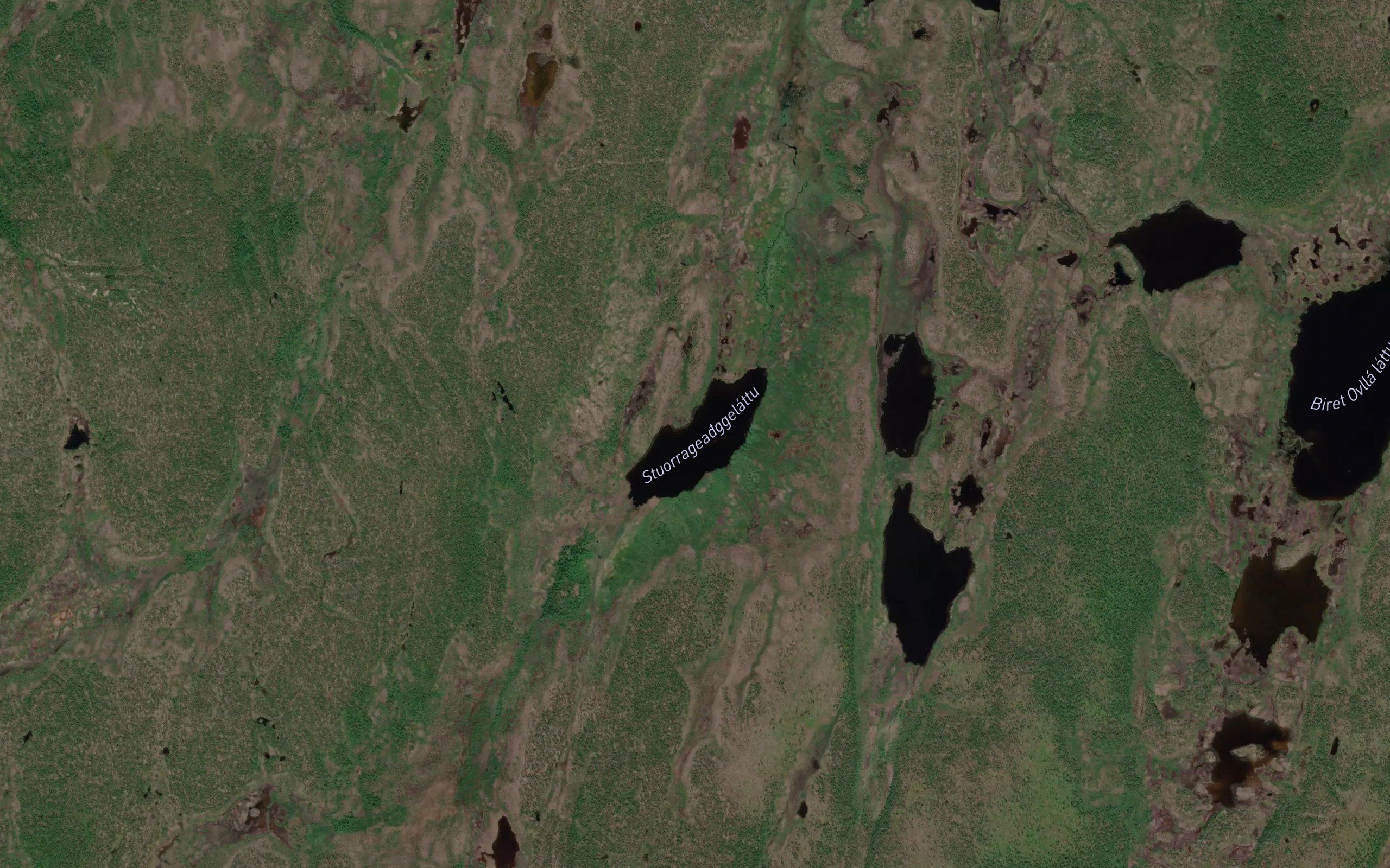 Stuorrageadggelattu
