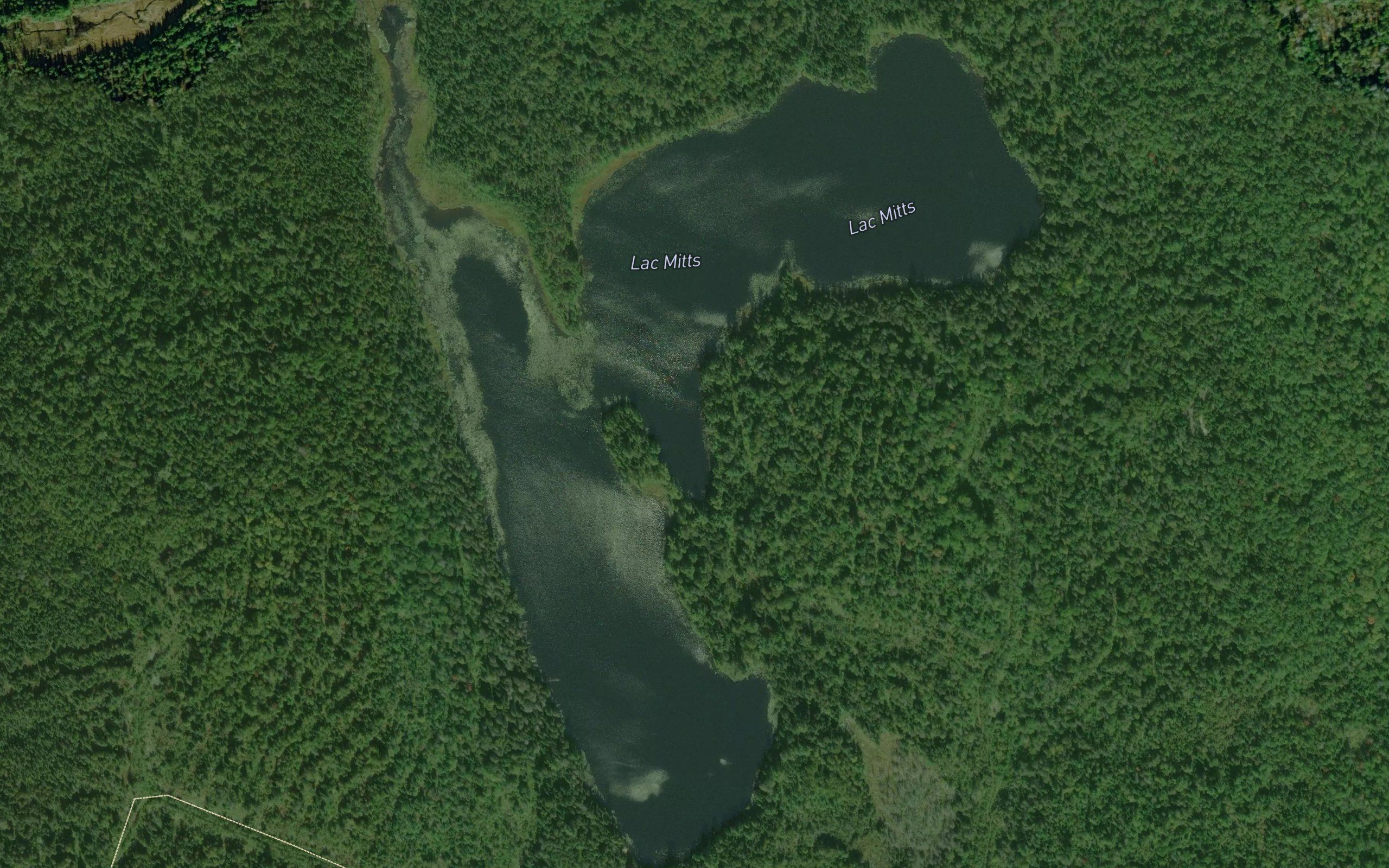 Lac Mitts