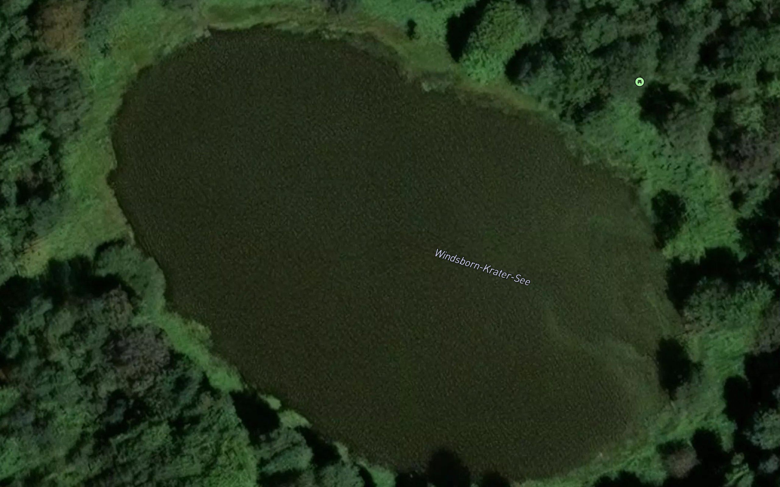 Windsbornmaar