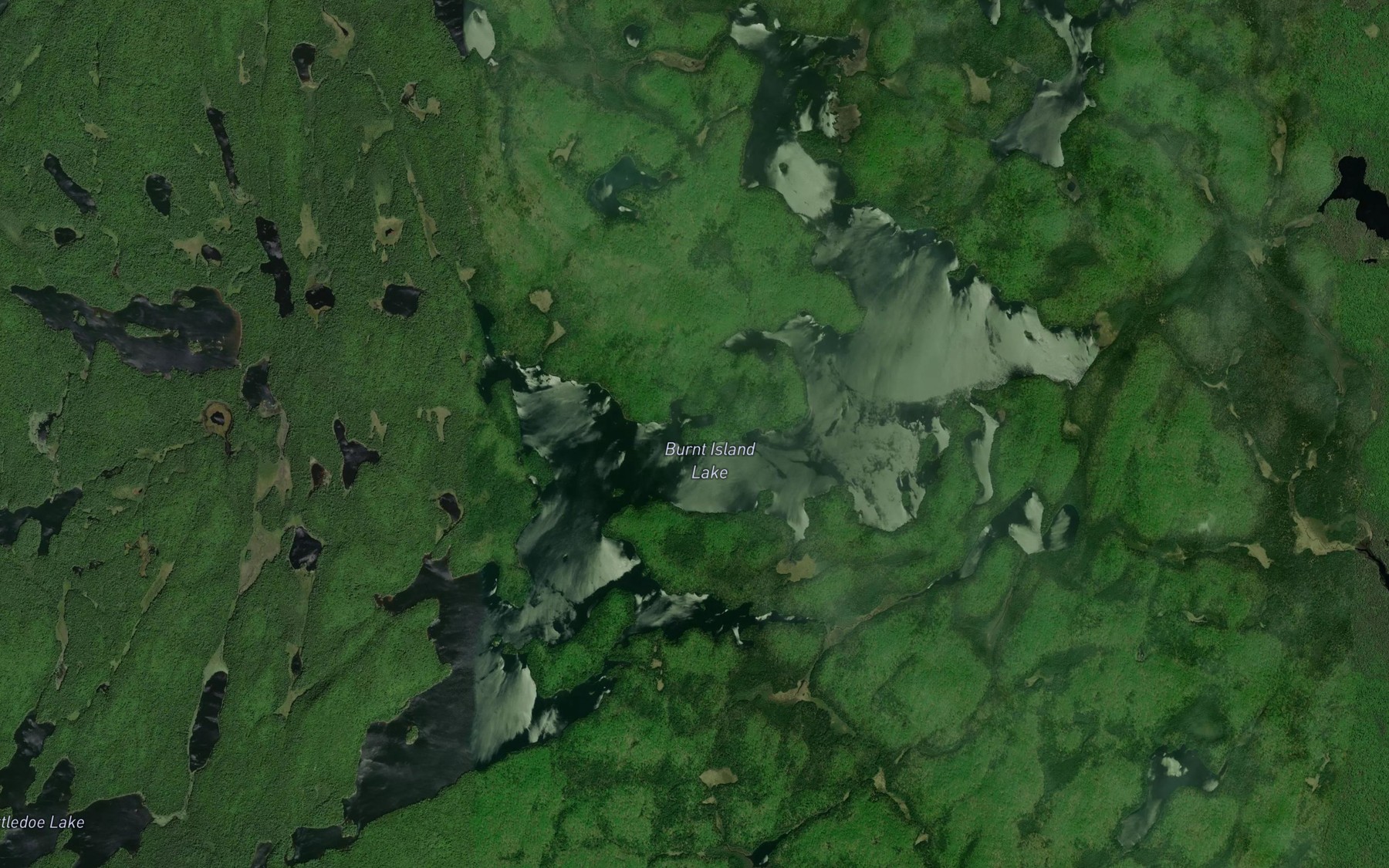 Satellite map of the Burnt Island Lake