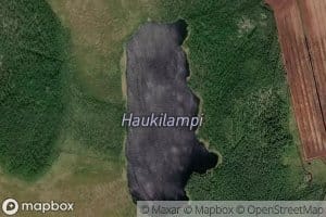 Haukilampi