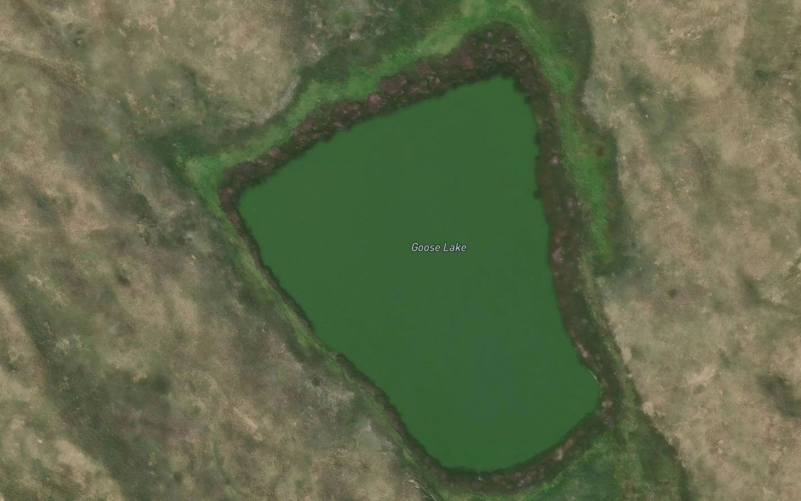 Goose Lake