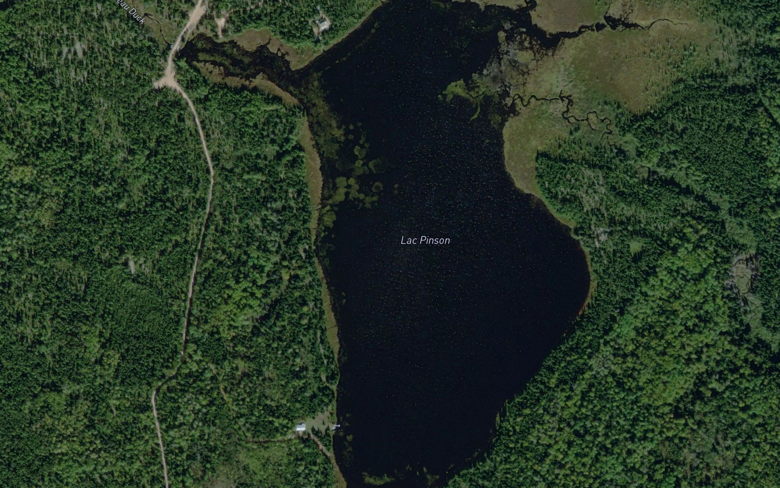 Lac Pinson