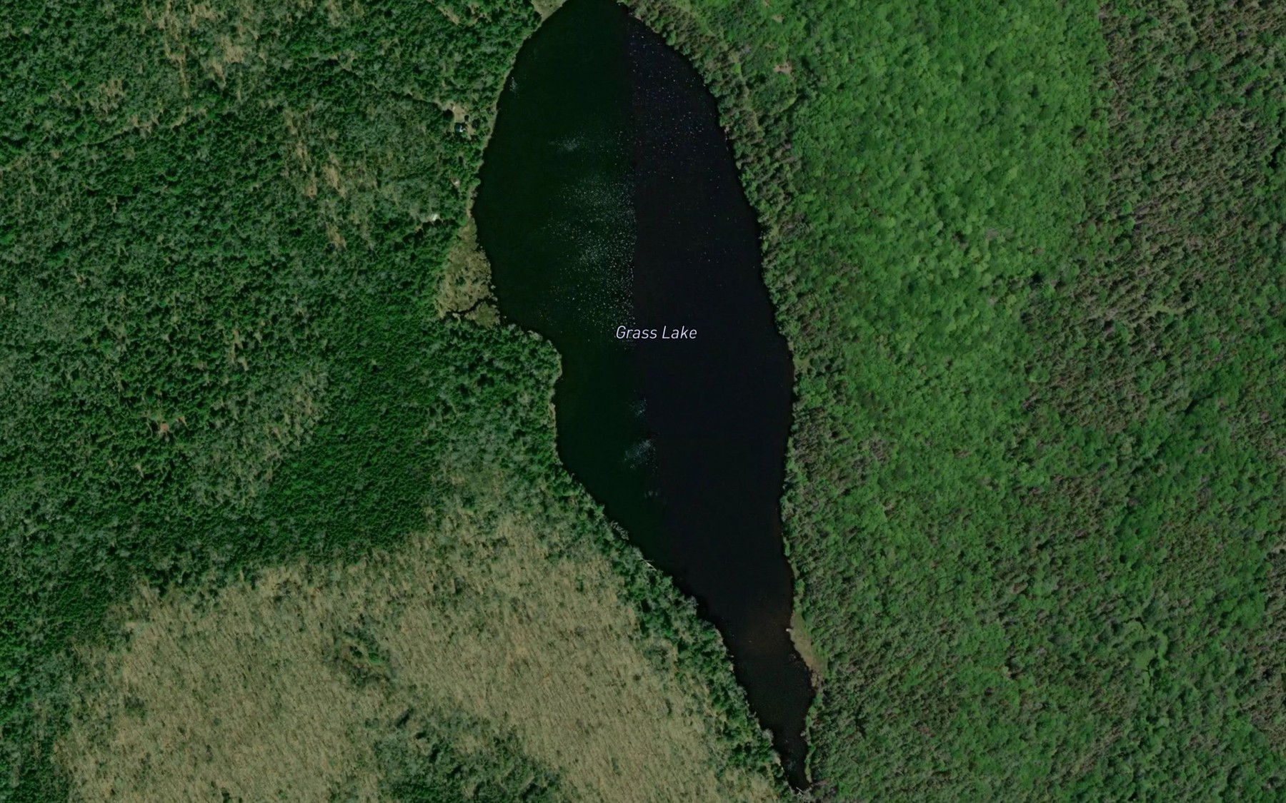 Satellite map of the Grass Lake