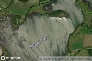 Mud Lake