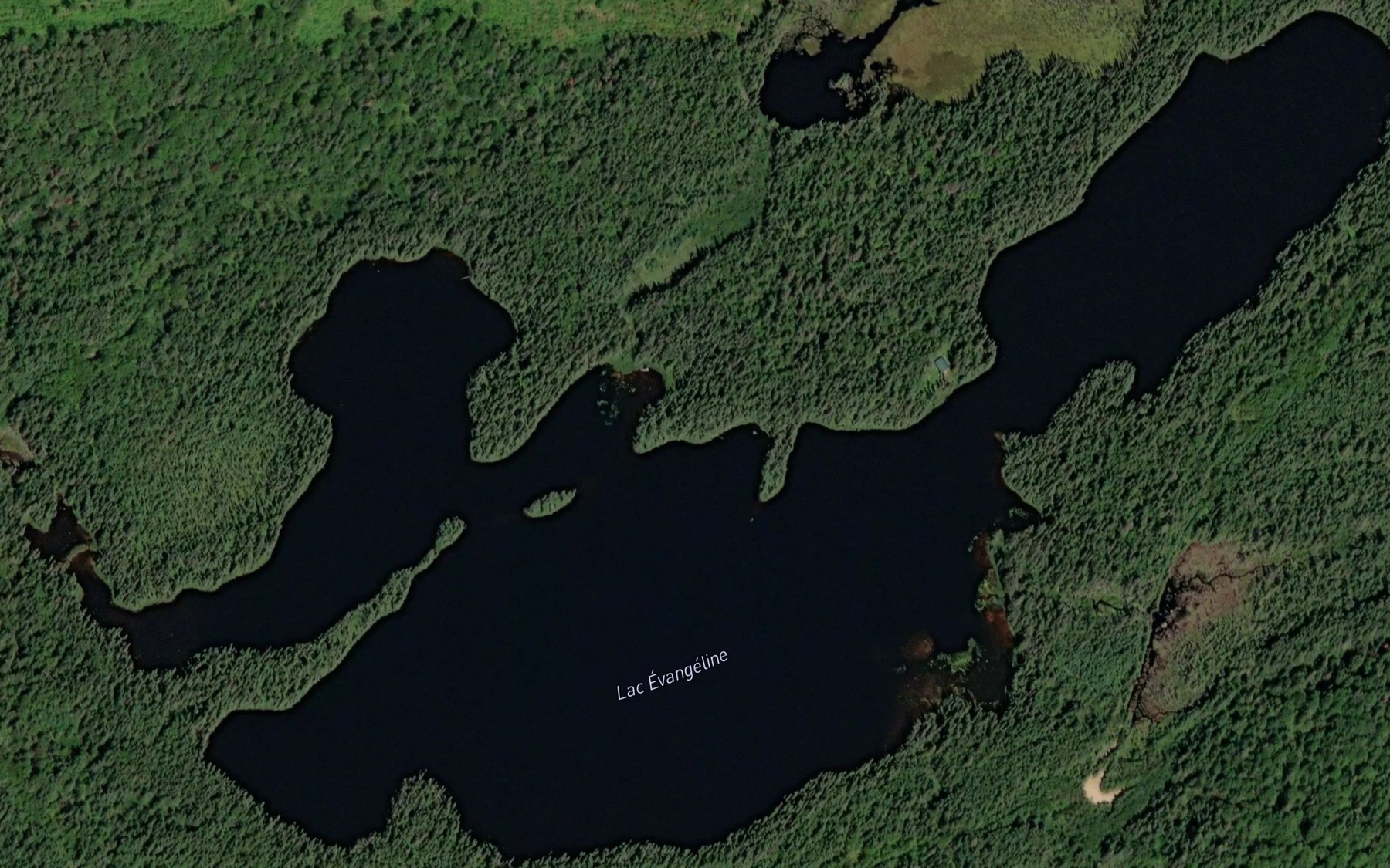 Satellite map of the Lac Evangeline
