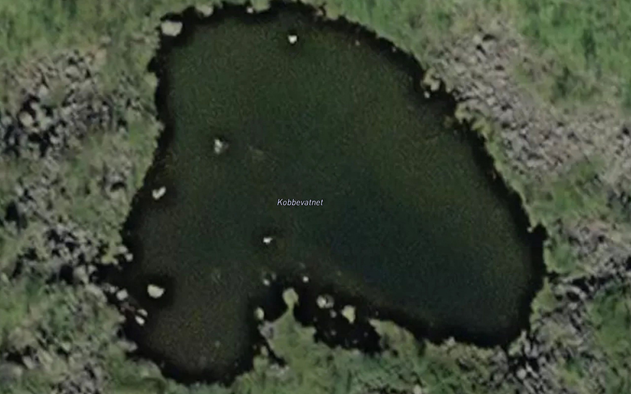 Kobbevatnet