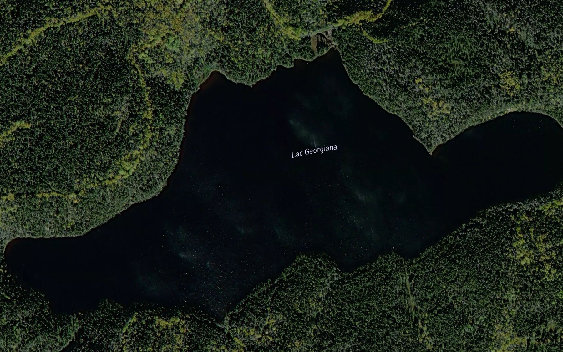 Satellite map of the Lac Georgiana