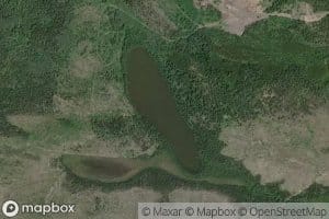Roys Lake