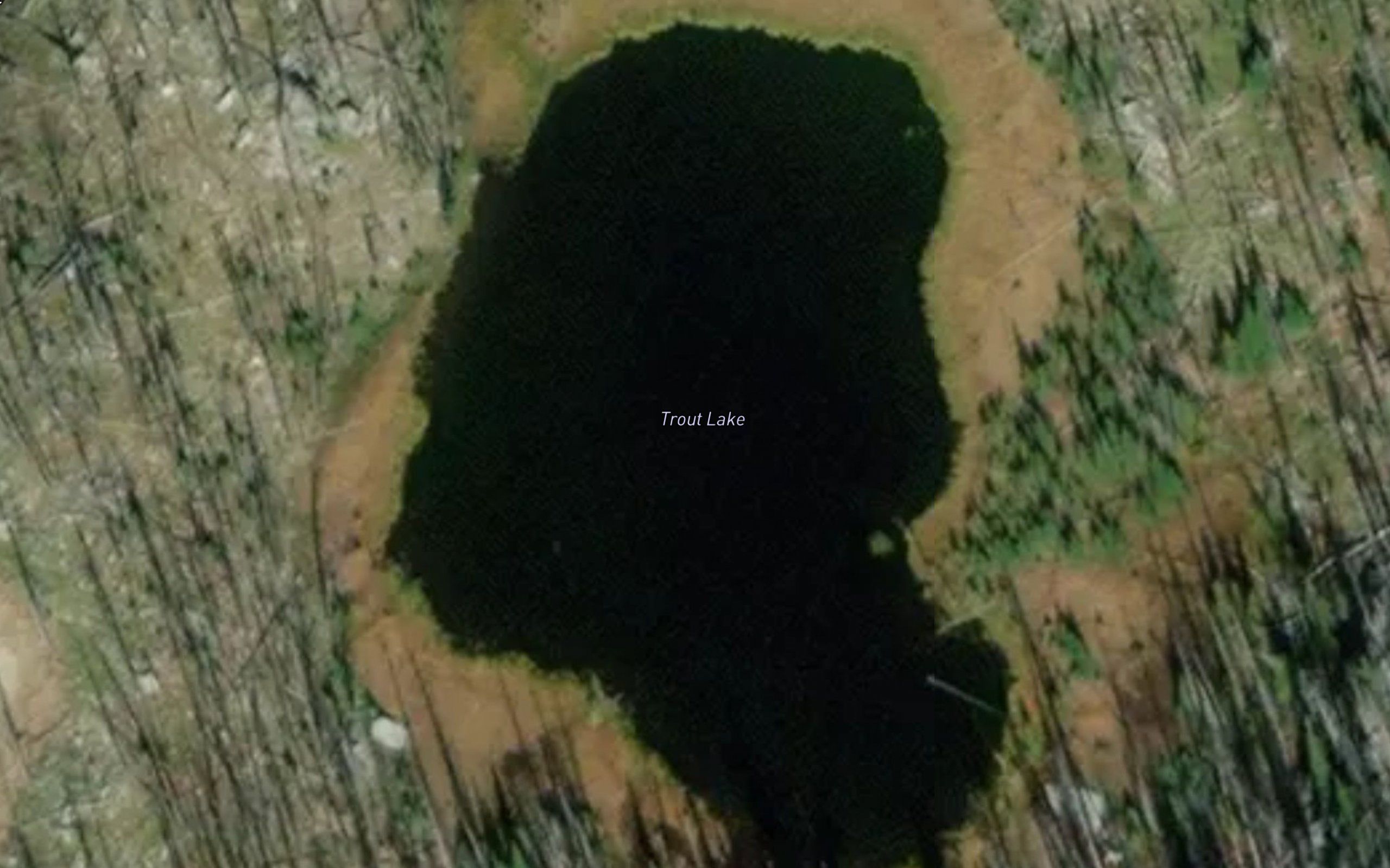 Trout Lake