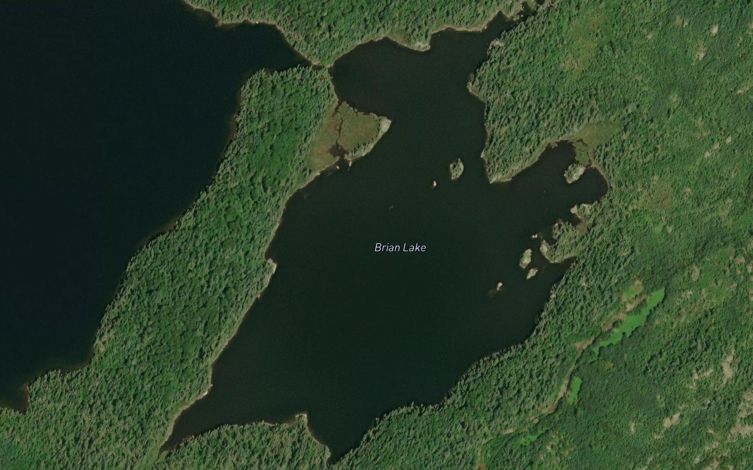 Brian Lake