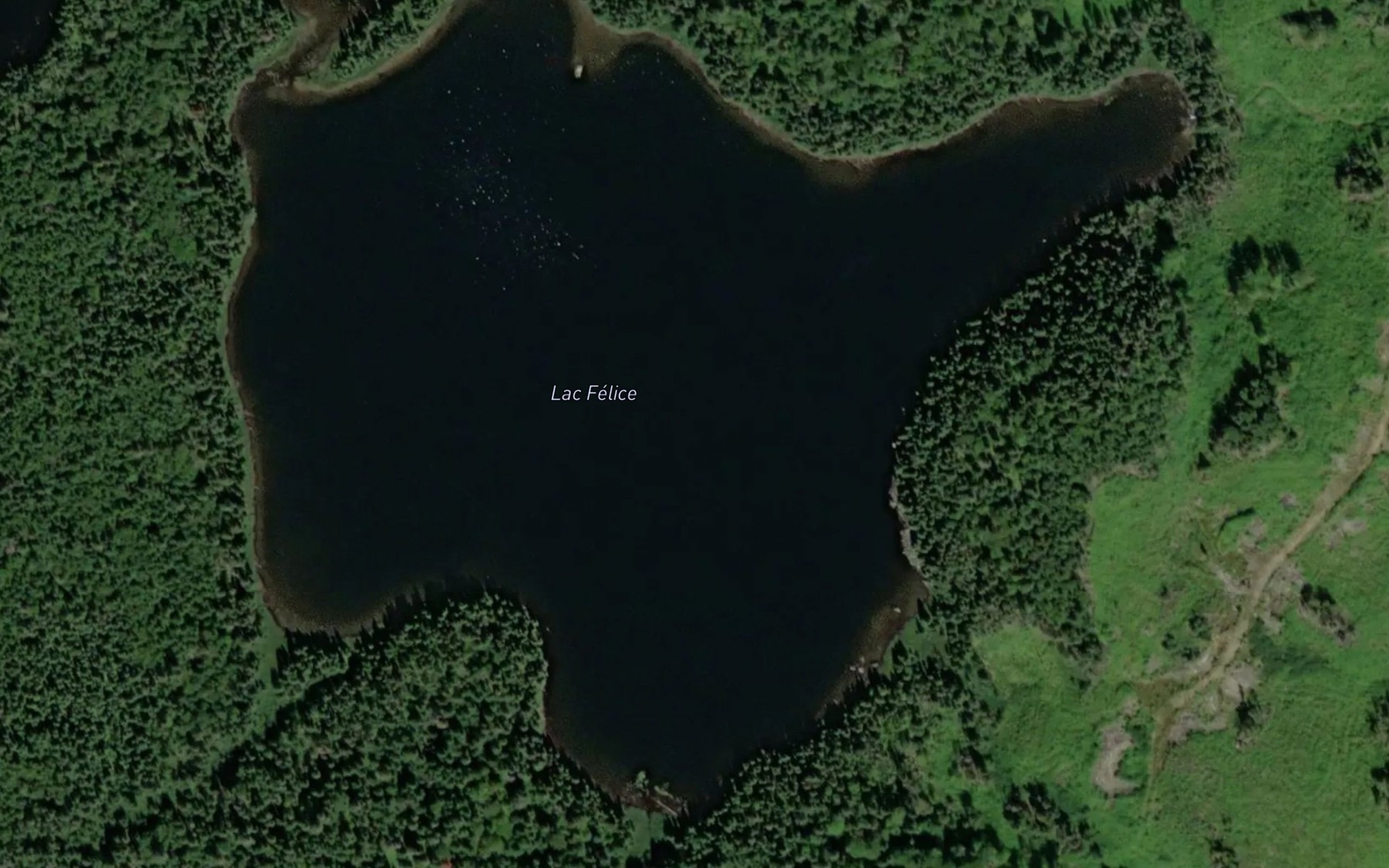 Satellite map of the Lac Felice